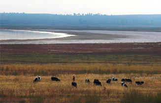 201109_hongjiannao_2.jpg