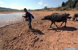 201301_yunnan.jpg