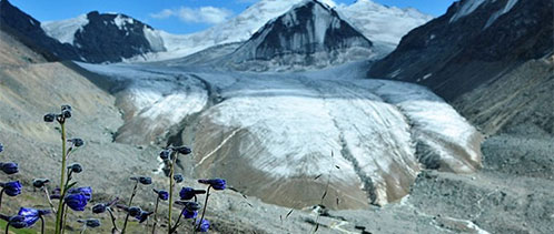 201907_glacier_nr354.jpg